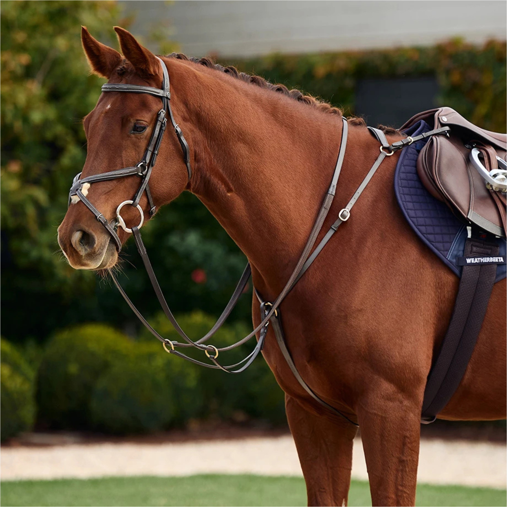 2026 Dublin 3-Point Breastplate 1031504 - Brown